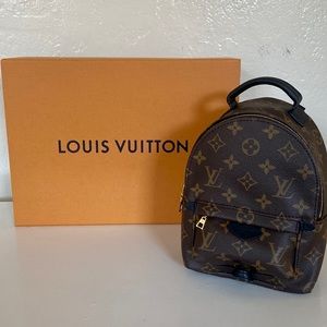 Louis Vuitton Palm Springs Mini Monogram